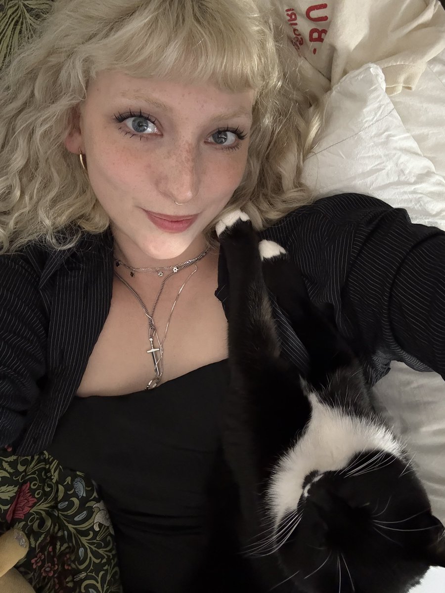 trophywimp's tweet photo. baby cat https://t.co/aTBea1XbtP