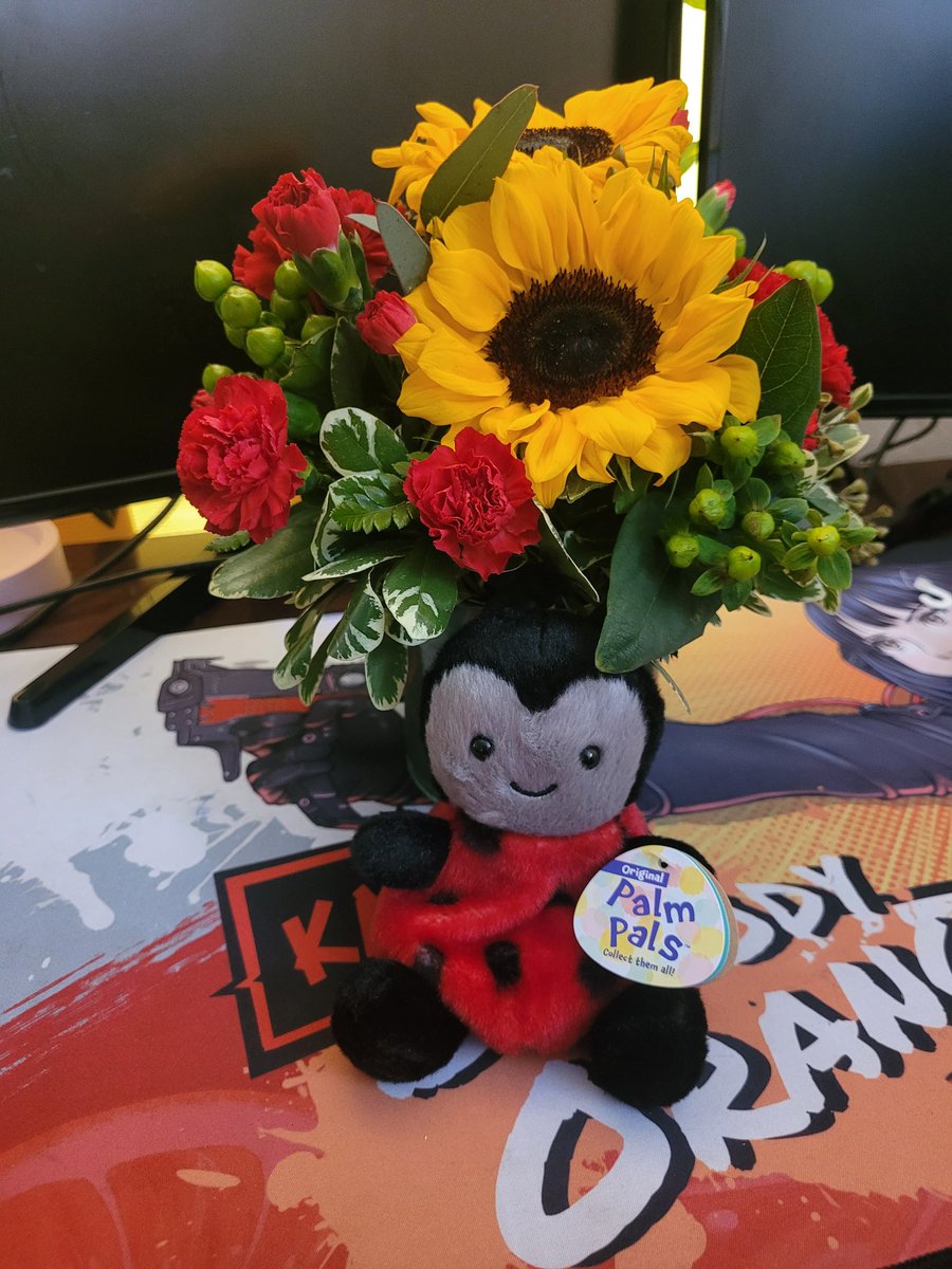 Love/hate momma ditzy and my best friend rn😂
Momma Ditzy ordered flowers for me but had my friend deliver em, cause mom's like 2 states away, and instead of calling or sending a text letting me know she was at the door I hear loud and hard af knocks on the door😭she scared me