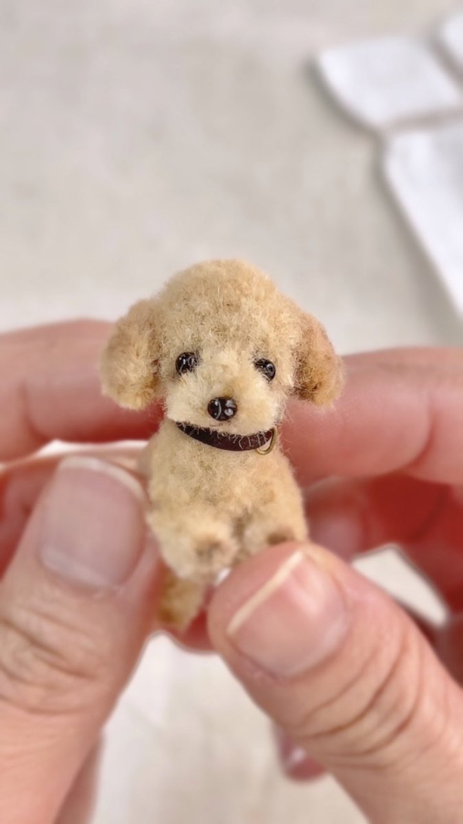 【モールで作ったよ❤️】ミニチュアダックスフンド🐶 #cute #art #モールドール   #pipecleaners #犬 #pipecle... youtube.com/shorts/WnGkeIV… <a href="/YouTube/">YouTube</a>より