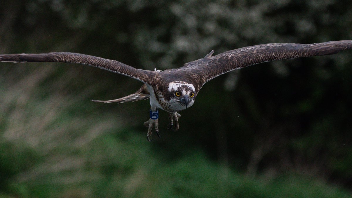 A pleasant way to spend a Bank Holiday evening.