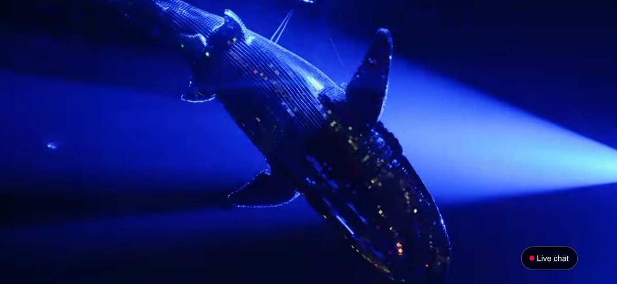 When I die, I hope I reincarnate into this shark