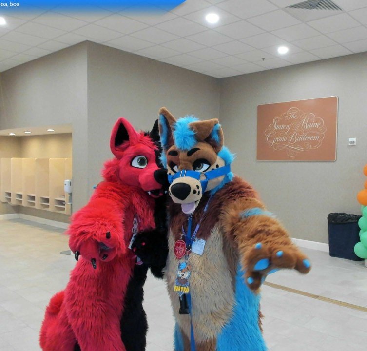 KybaCWC's tweet image. Happy #FursuitFriday
Thanks to all my friends and new friends for #FCL2025. It was one of my favorite conventions. I loved it so much.
special thanks to @ThatCollieBitch @daigo_bitch @NitroL3x pour cette fds awesome 🖤❤️