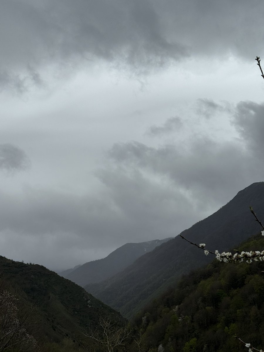 Oh Asturias, how I missed your foggy mountains. Home sweet home, for a week.