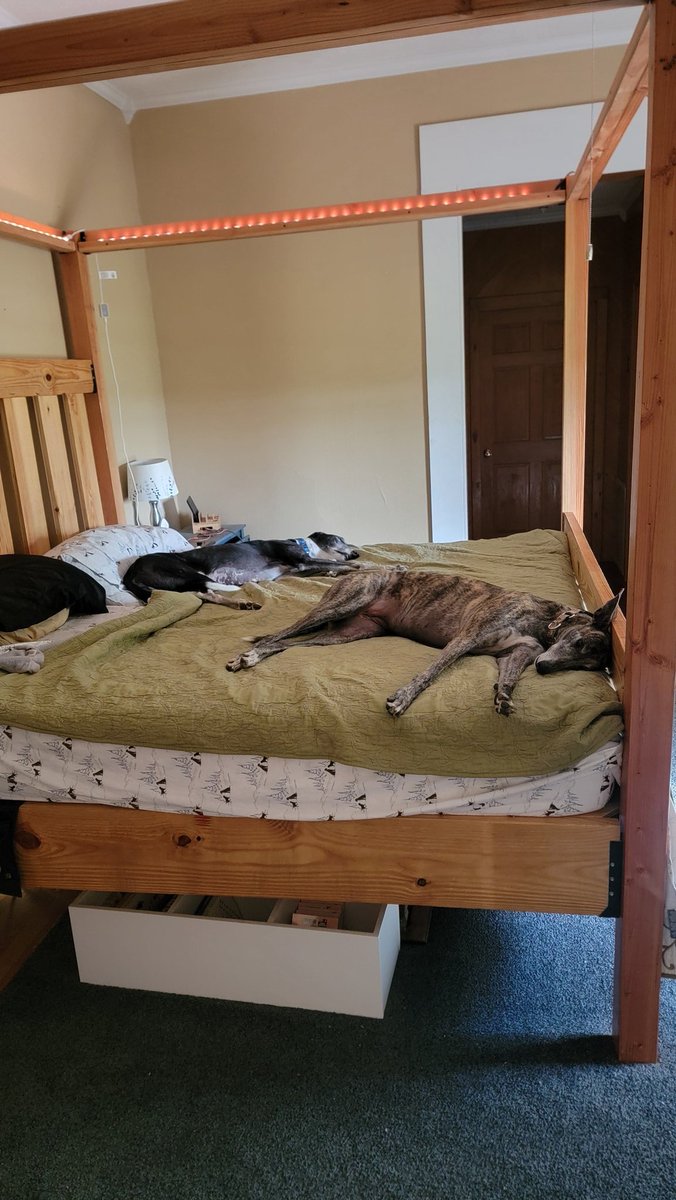 SleepZoomSleep's tweet photo. How could Favorite Staff leave us for three whole days? Don't bother us, we are in mourning. https://t.co/PDlDhl9AWG
