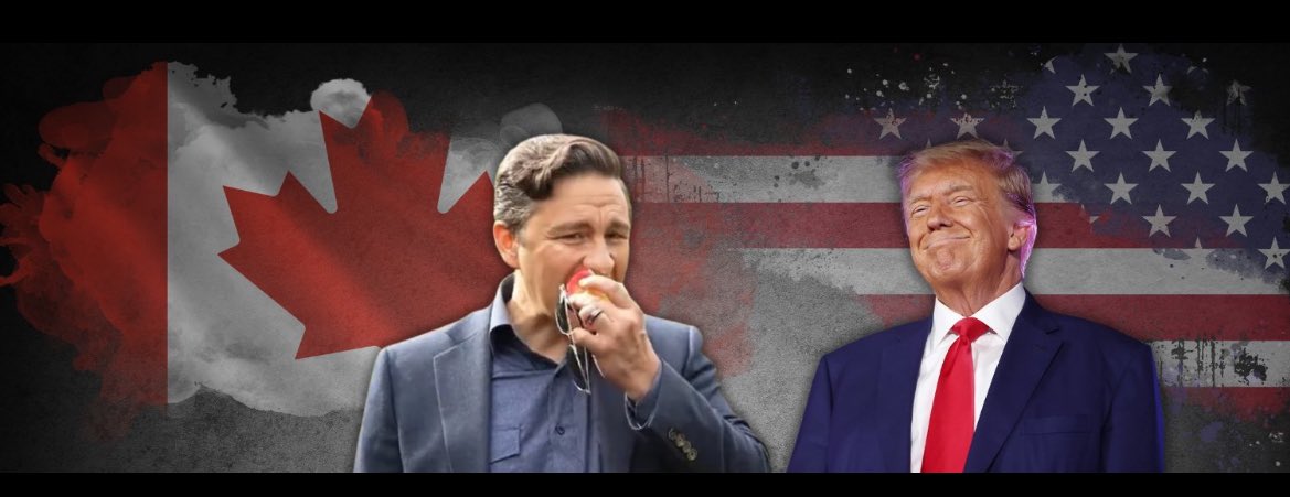 Rob Halpin tweet media