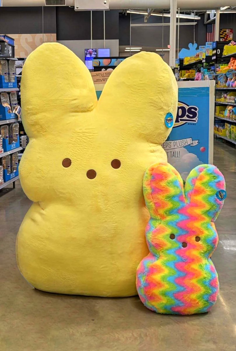 EvermoreOCE's tweet photo. @Walmart whats the name of this fella? https://t.co/j8ChtNn6AU