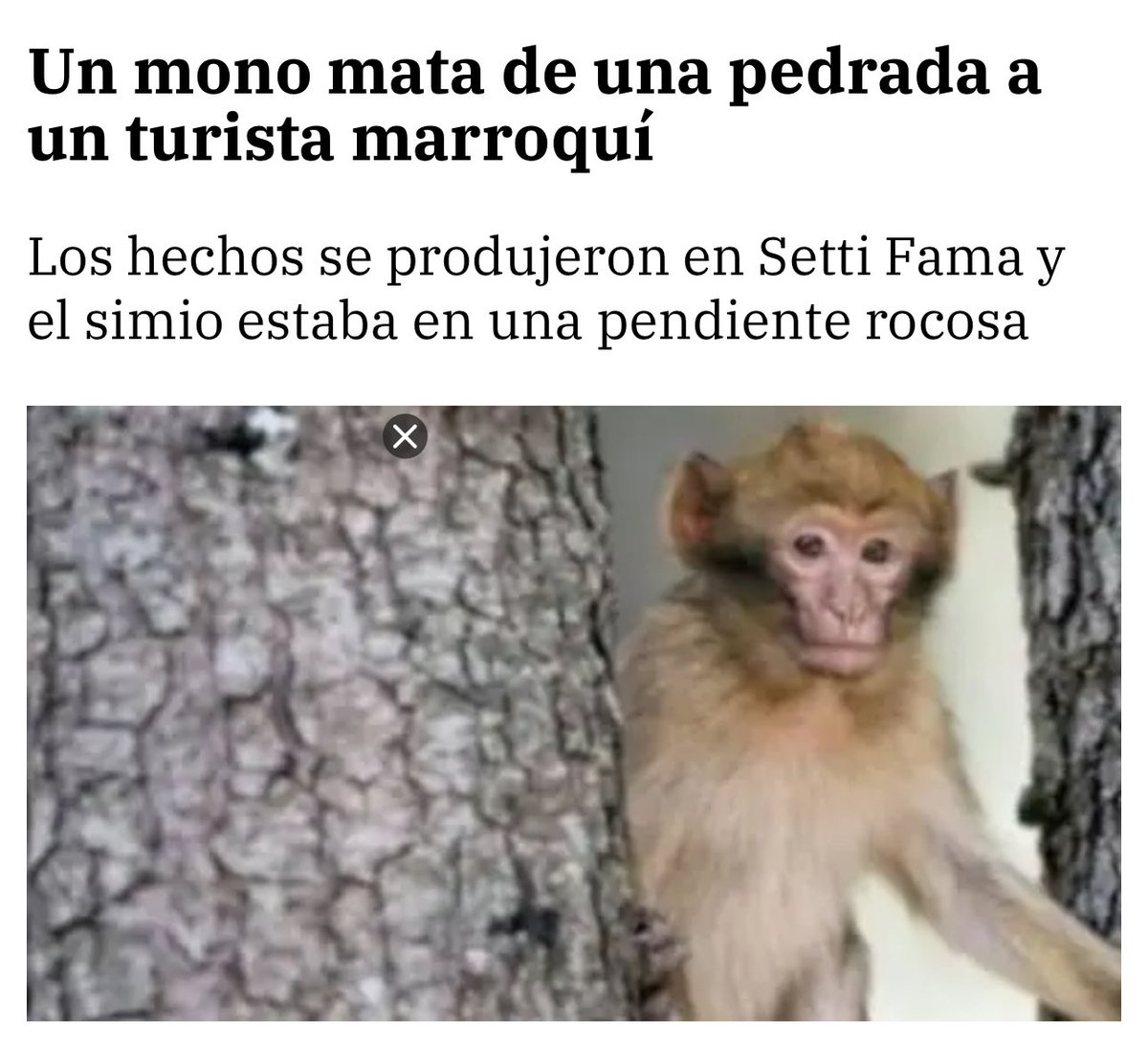 Entro en Twitter y veo esto.