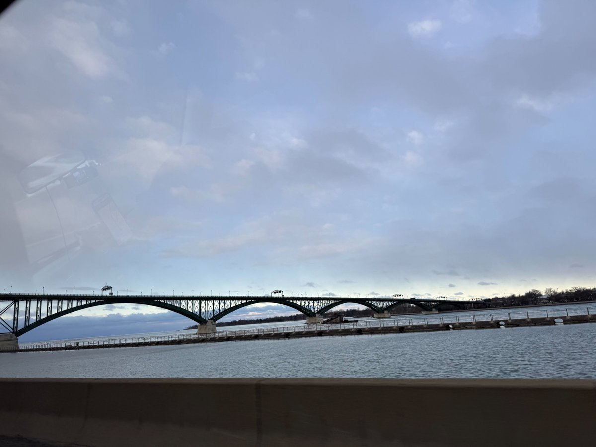 Michelle DiTondo tweet media