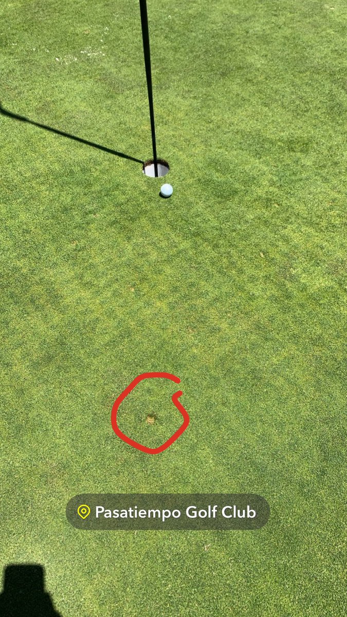 Golf Coverage Complainer tweet media