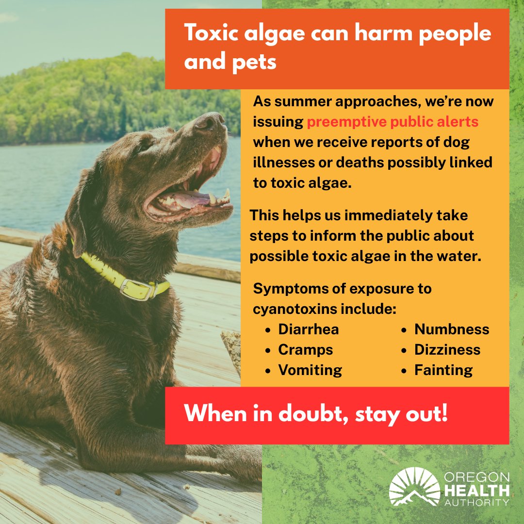 OR Health Authority on X: "Starting immediately, OHA will issue pre-emptive public warnings following reports of dog illnesses or deaths possibly resulting from cyanotoxin exposure. For more information, read our news release:
