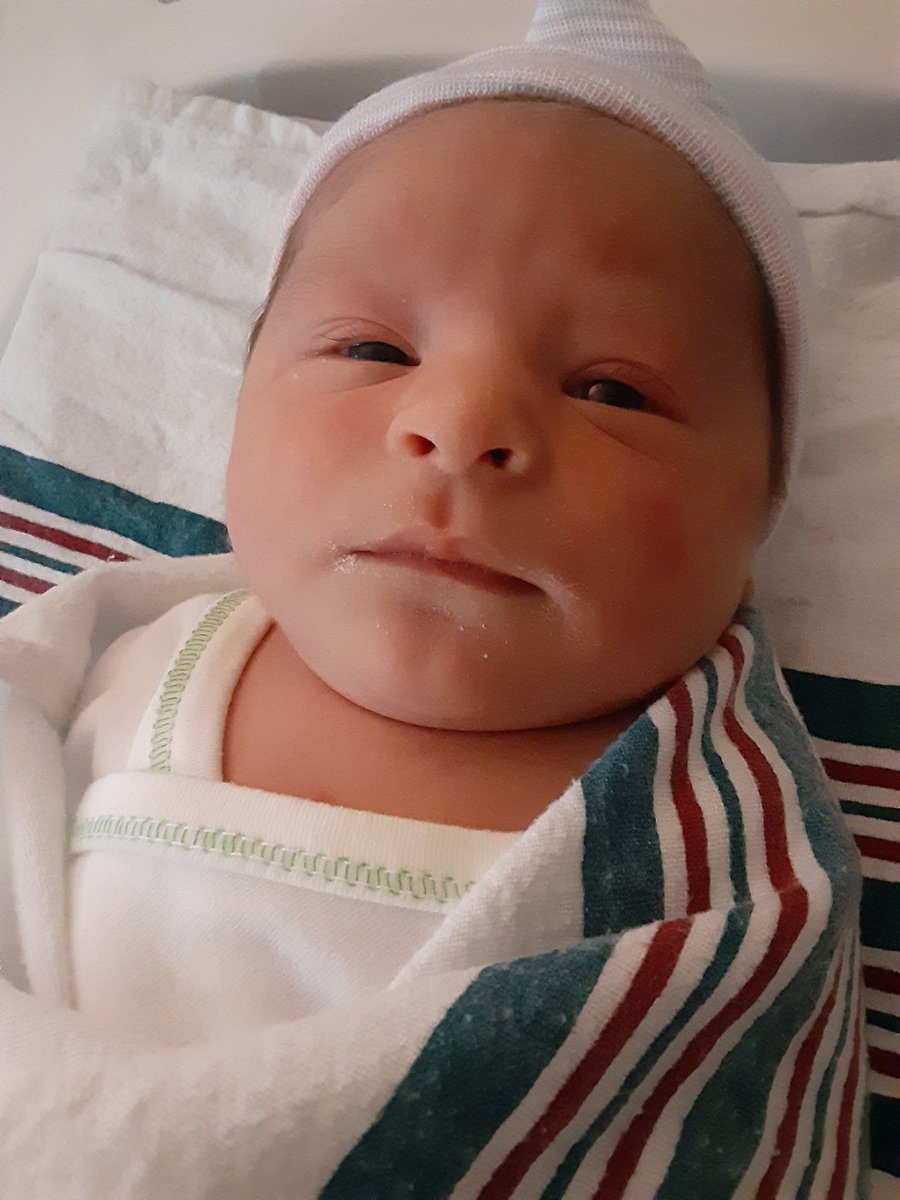ShaneOnAmerica's tweet photo. Welcome to the world Oliver.. https://t.co/nyy9I1XhJ5