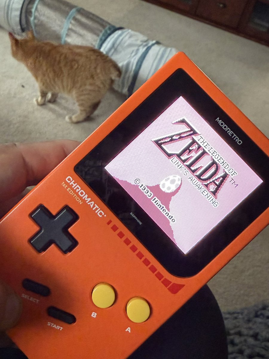 valopez's tweet image. Found someone local in FB marketplace selling Zelda Link Awakening game for my gameboy. Offline gaming is peaceful and relaxing.