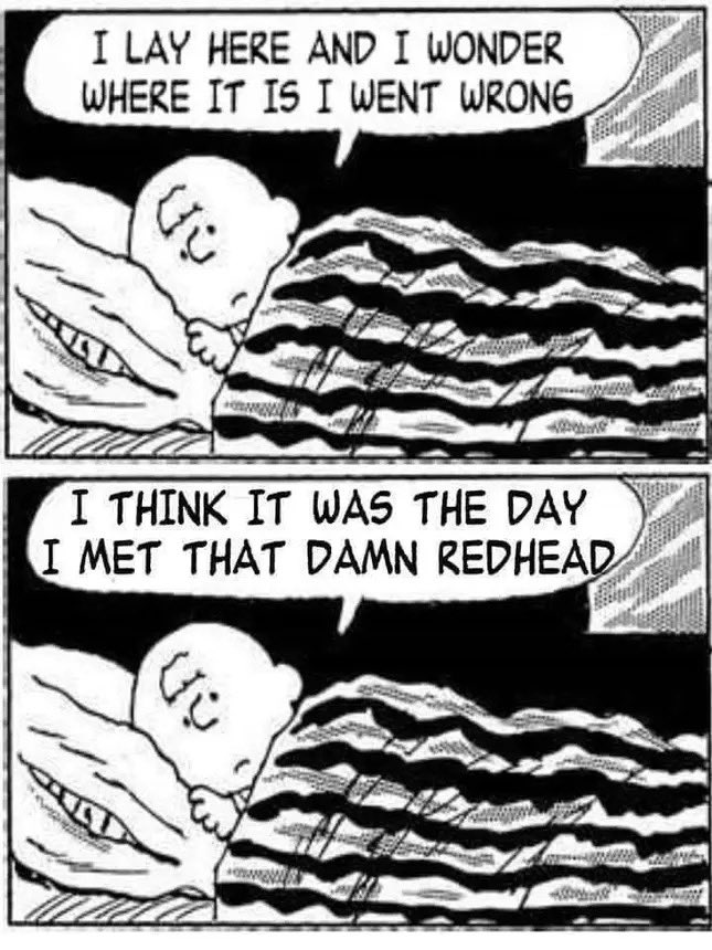 TheRedheadDays's tweet photo. When I met… #ItIsNotAGoodIdeaTo https://t.co/jYIstgioAn