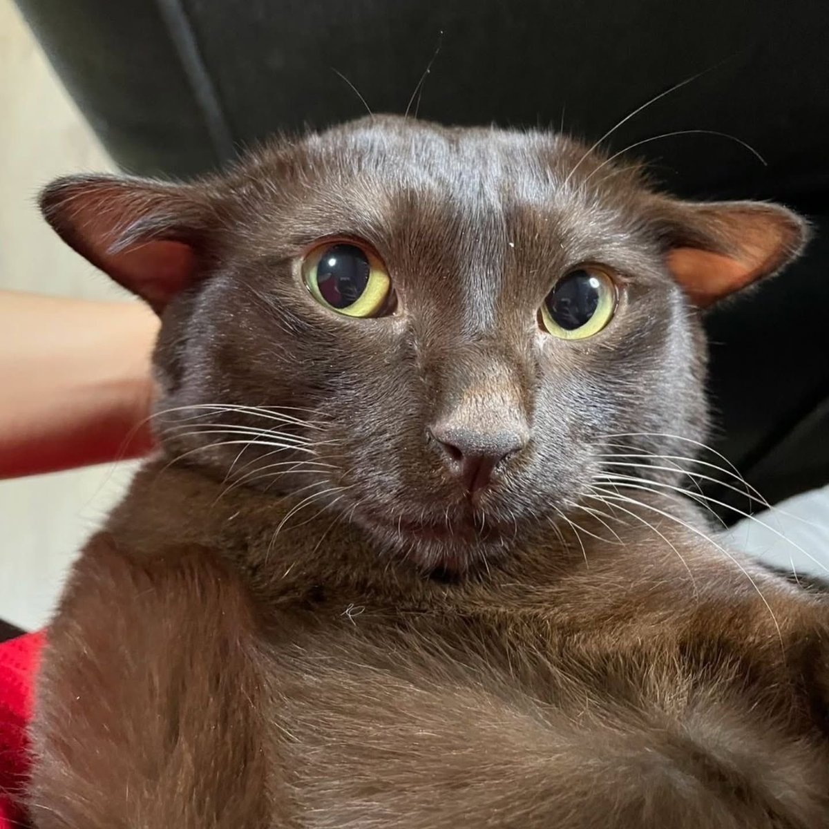 hiiiiiiiiiiiiiiii  :3