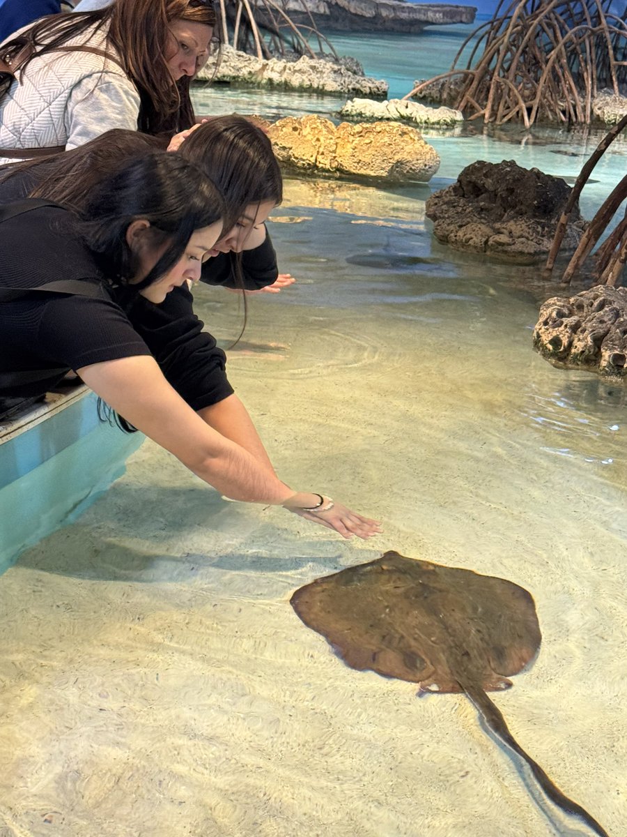 CityLab Revere tweet media