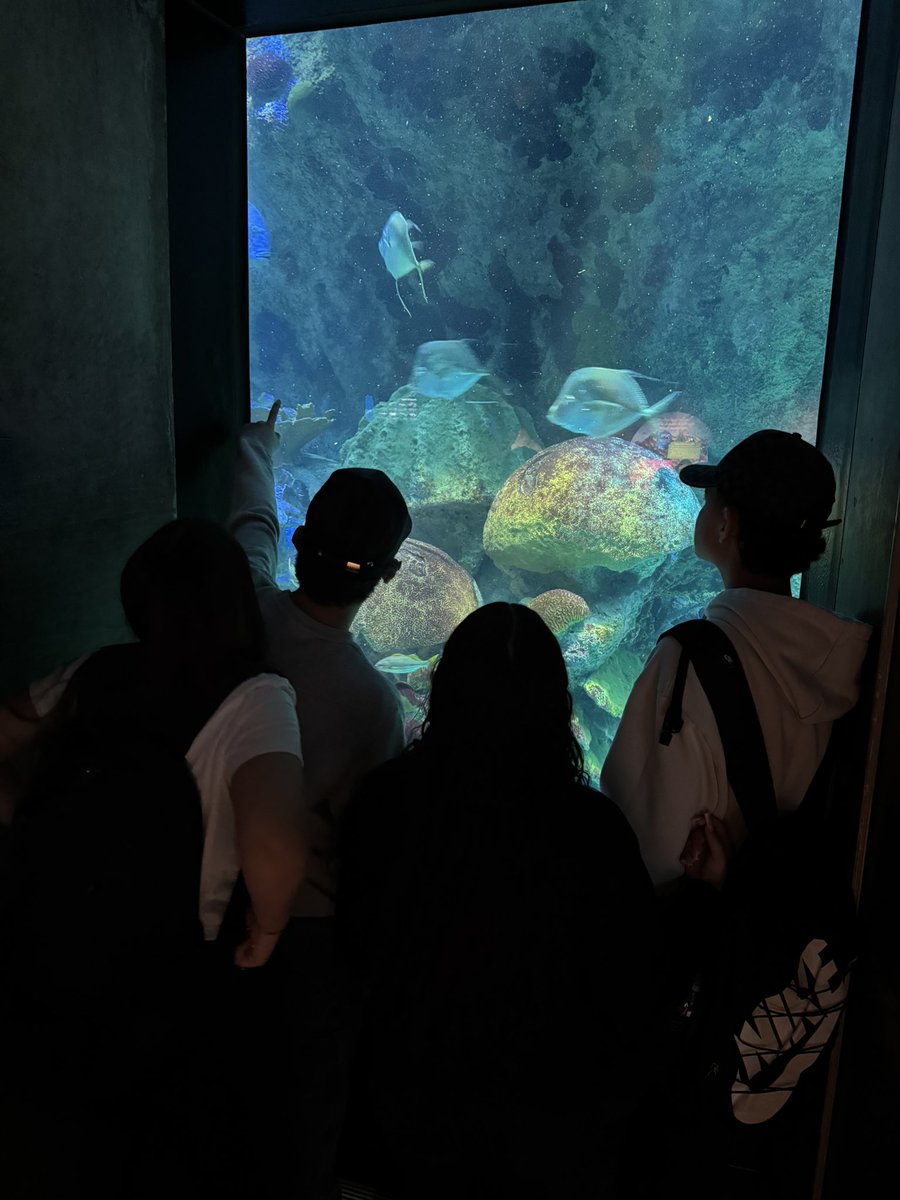 CityLab Revere tweet media