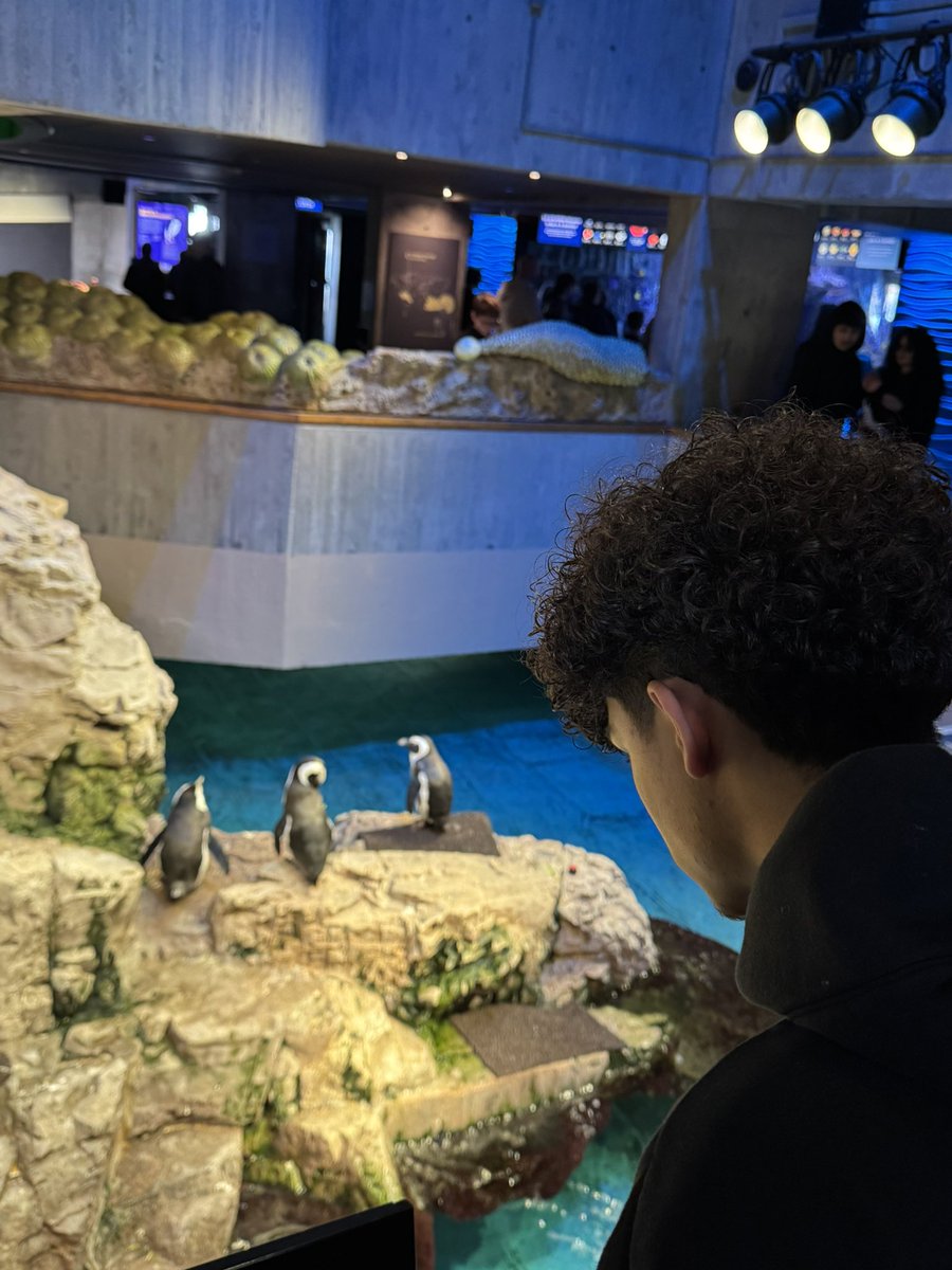 CityLab Revere tweet media