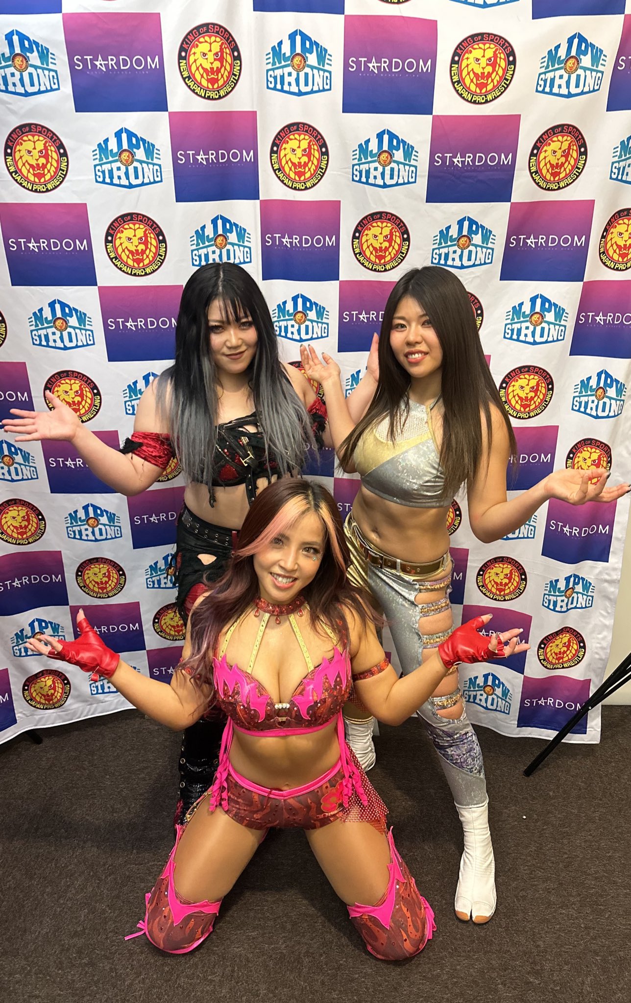 【DVD】STARDOM スターダム 白川未奈 Mina Shirakawa Mina Shirakawa DVD 