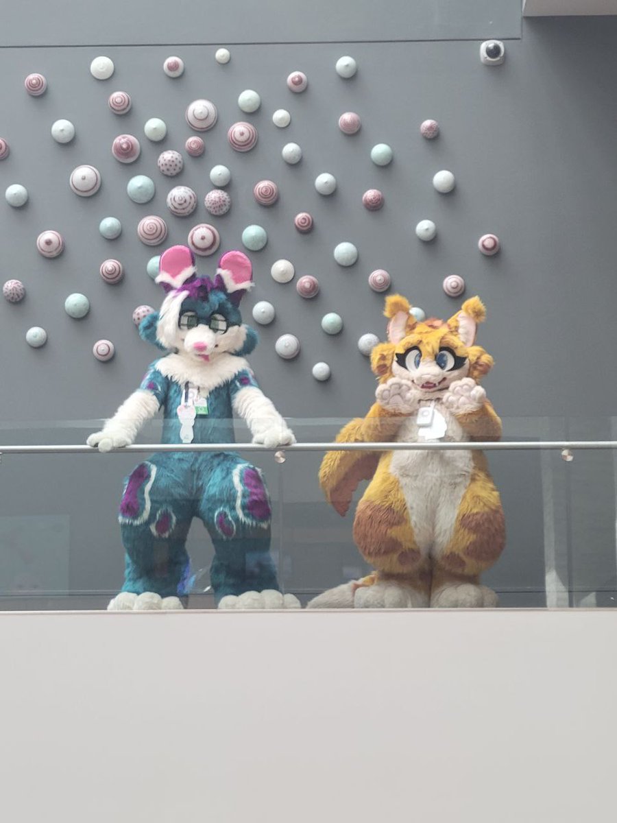 Zirconiconium's tweet photo. First day suiting at Anthrohio with @XxCreamPufffxX!!
#anthrohio2025 #furry #fursuit https://t.co/rdgwJZNV5u