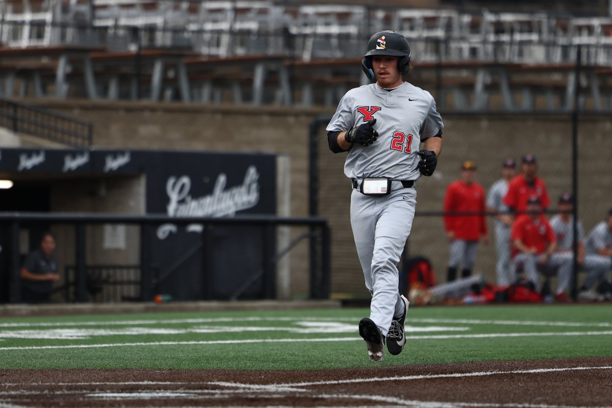 YSU Baseball 🐧 tweet media