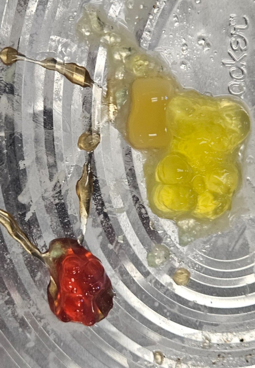 Katherine Nix tweet media