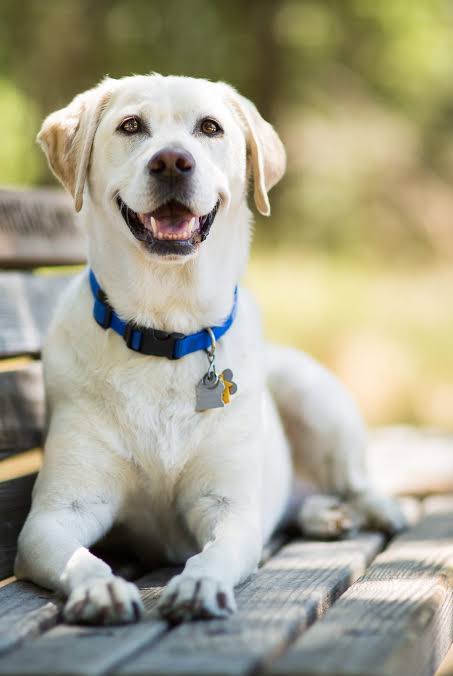 wyck 📴 tweet media