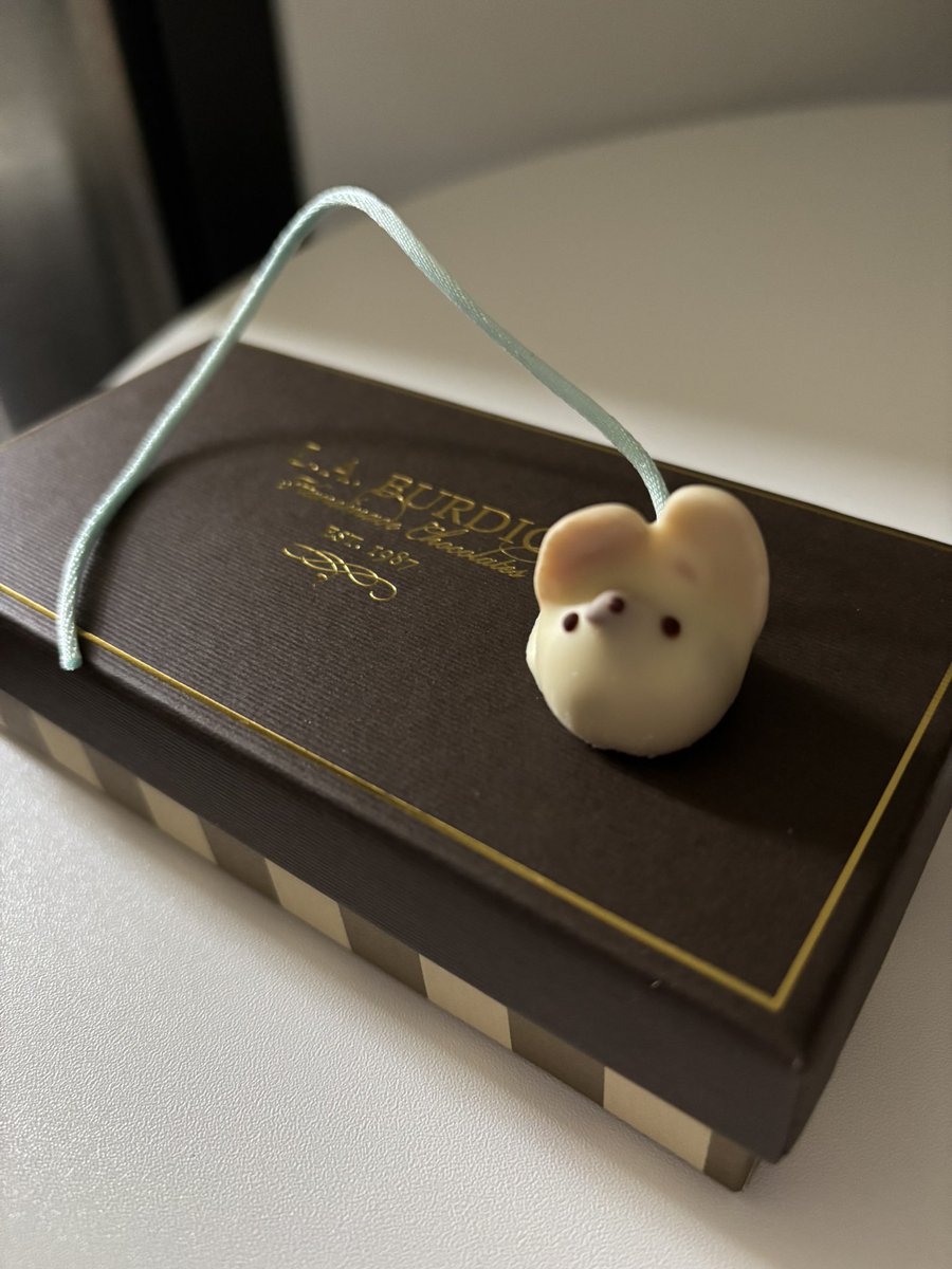 Inaratheslut's tweet photo. I love when a client brings a little gift. 💕💕 

#datedc #datebaltimore #chocolate #socute https://t.co/26B4PdQUiD