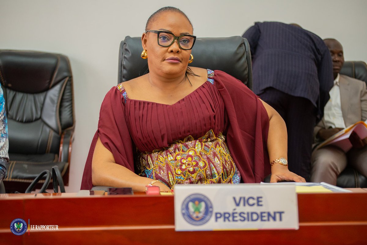 Assemblée Provinciale de Kinshasa tweet media