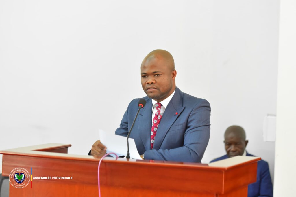 Assemblée Provinciale de Kinshasa tweet media