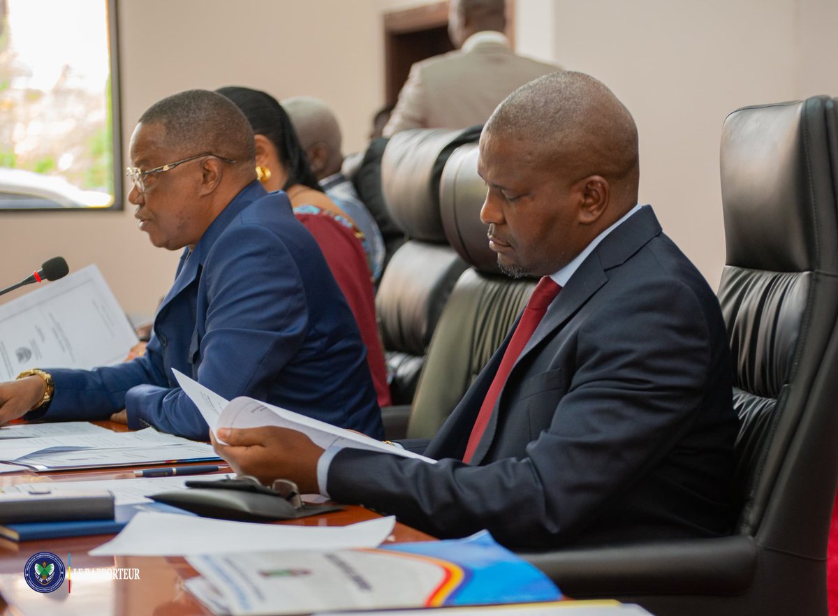 Assemblée Provinciale de Kinshasa tweet media