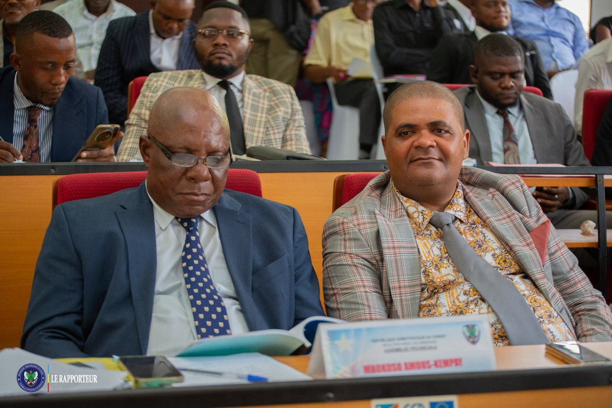 Assemblée Provinciale de Kinshasa tweet media