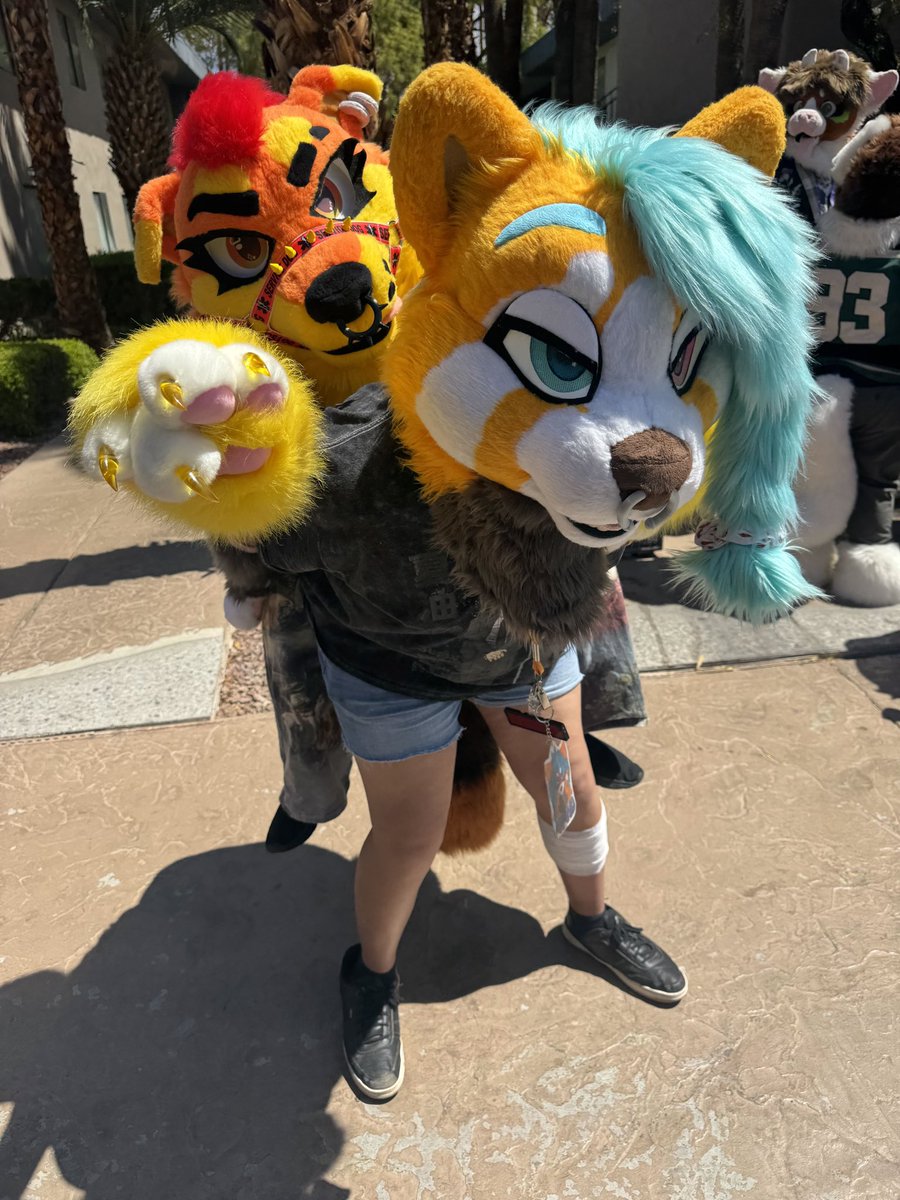RedPandis's tweet image. Onward!!!! (don’t mind my leg I tripped) #LVFC