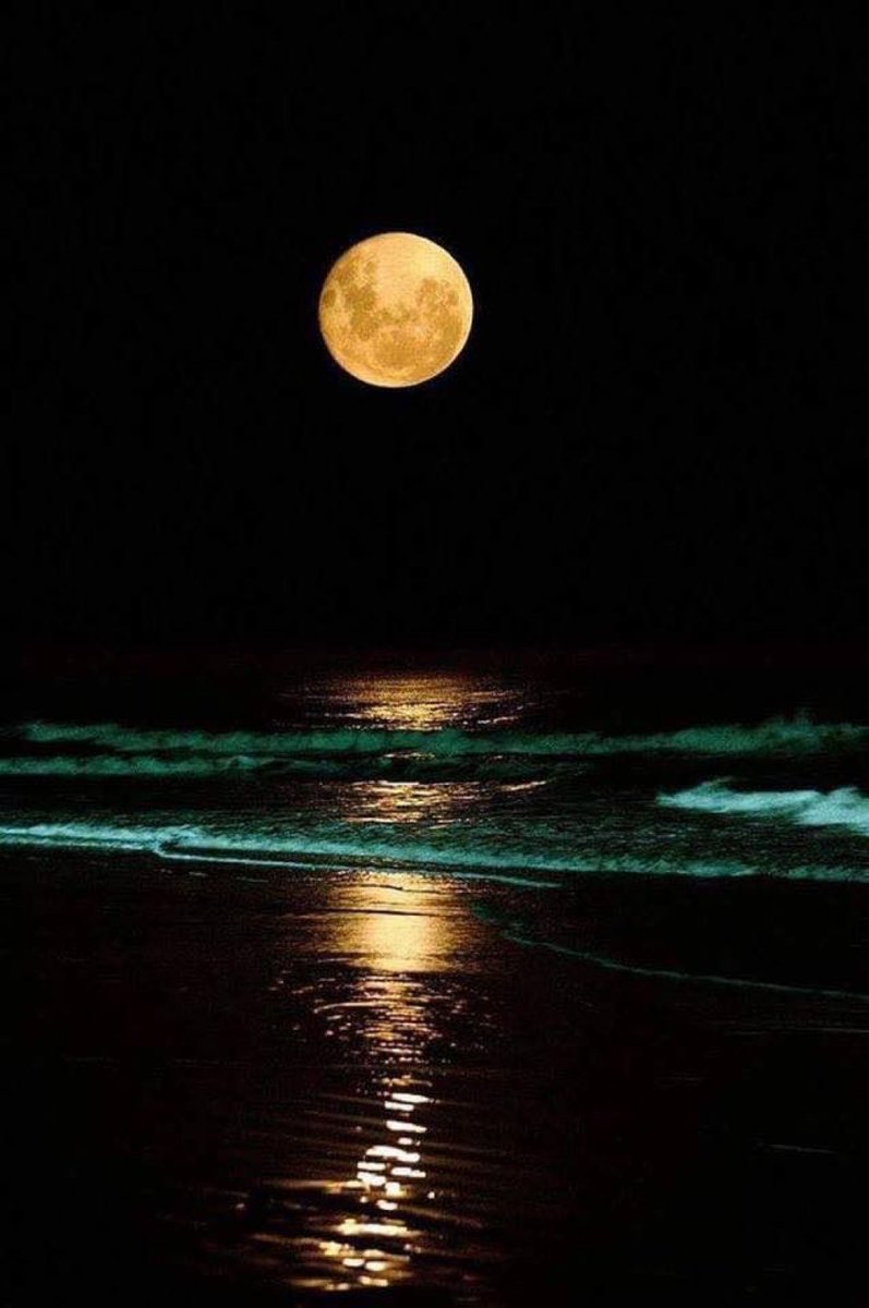 moonloverxjpg's tweet photo. la paz que me trae la luna y el mar https://t.co/ygPfZHcp7i
