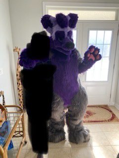 LykosSol's tweet image. Late #FursuitFriday  OwO
