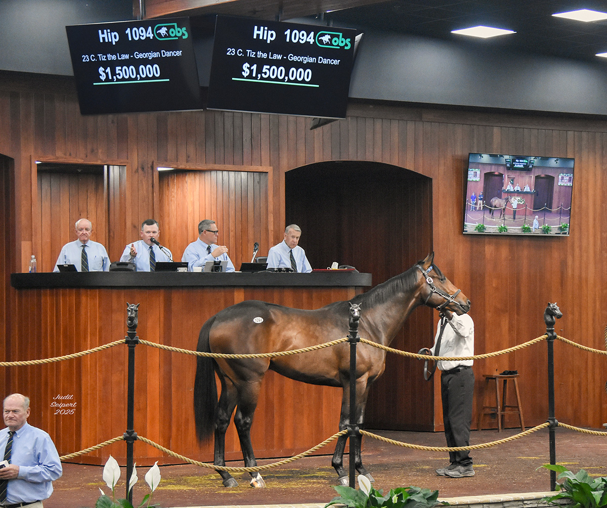 florida_horse's tweet photo. Inside This Issue of Wire to Wire
$1.5 Million Tiz the Law Colt Friday Makes Record Nine Seven-Figure Juveniles Sold During #OBSSpring Sale #OBSApril @OBSSales @spendthriftfarm @westpointtbred
Click to read all stories: https://t.co/KIw27l48ER

@VideoHipico @TheBrockTalk @TammyAnnGantt @HipismoyPunto #Wire2Wire
Photo: ©Judit Seipert