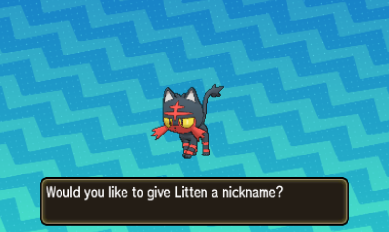 IncinPkmn's tweet photo. Most liked reply in 24 hours will be my litten's nickname for my ultra moon nuzlocke https://t.co/1MIYKrBzoD