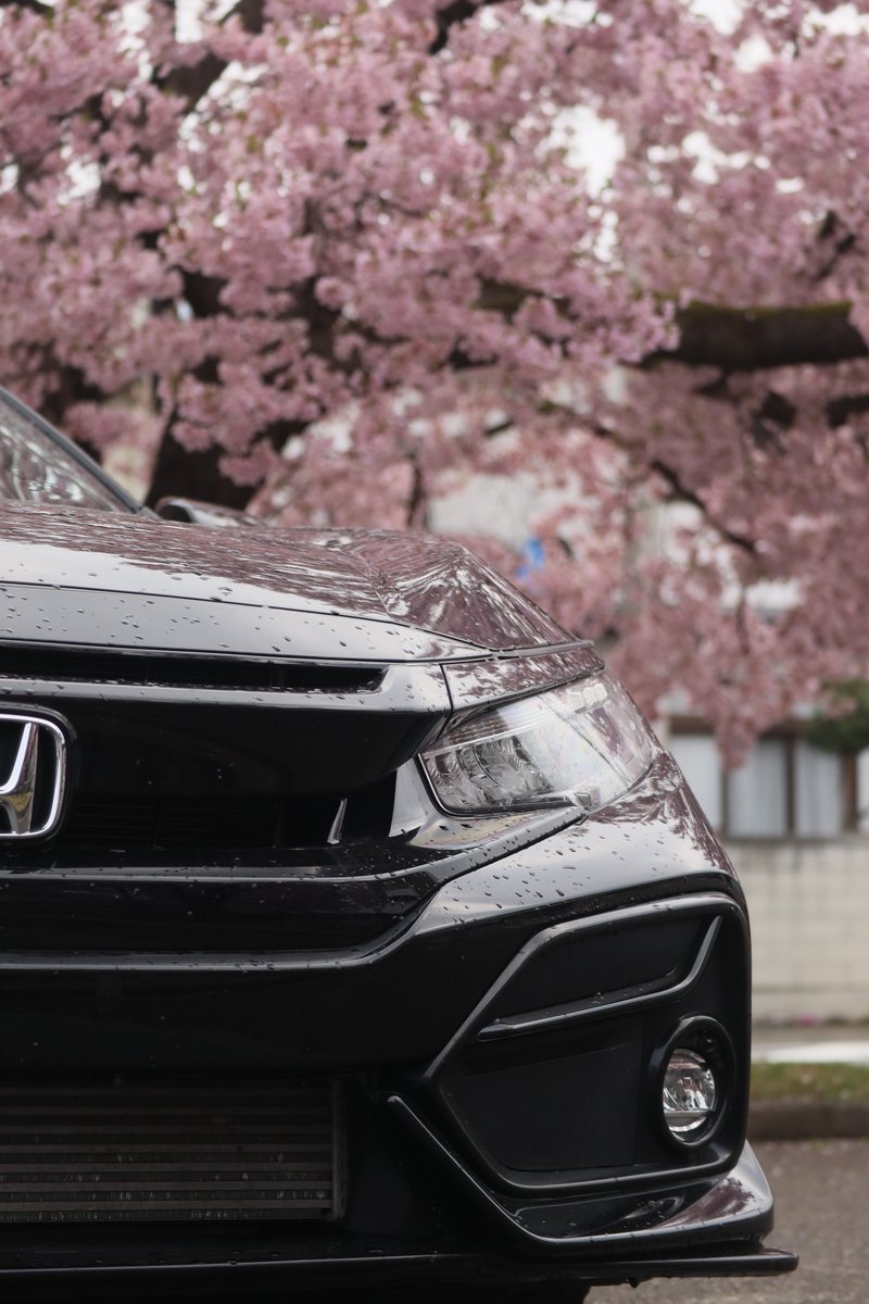 2025年春

今年は愛車と桜撮れました📸