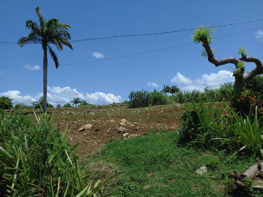 eiphhuebgpinv's tweet photo. Se realizan los trabajos de campo para la Solución de abasto al poblado de Guatemala desde el Río Guayabo en el municipio de Mayarí.
#UEBGP #HolguínSí https://t.co/BEHD7O7IKl