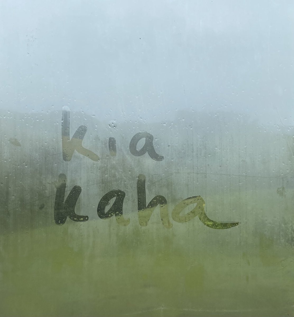 Wild weather in the north. Day four of the power cut. Hopefully we won’t break the record of 10 days without power like we did in 2023🤞 take care everyone stay safe out there.