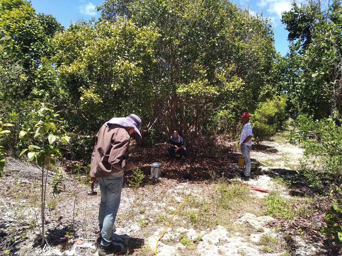 eiphhuebgpinv's tweet photo. Recorrido y trabajos de campo en la Planta Desalinizadora de Caletones en el municipio de Gibara, para la ubicación de un pozo de infiltración.
#UEBGP #HolguínSí https://t.co/oZNhCVc2eU