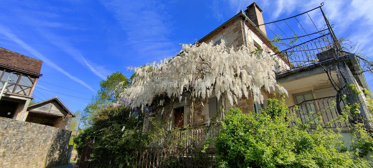 izatistinctoria's tweet photo. De la glycine... Blanche pour varier #IsatisRandomPhotos📸 https://t.co/9IR1kXhuwf