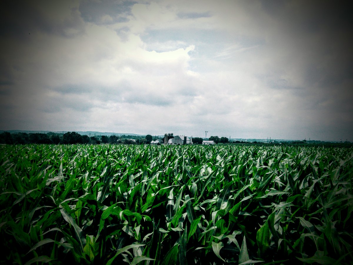 AbeOnVacation's tweet photo. Everything was beautiful. Even boring ol' corn. https://t.co/bqhA0BxJVC