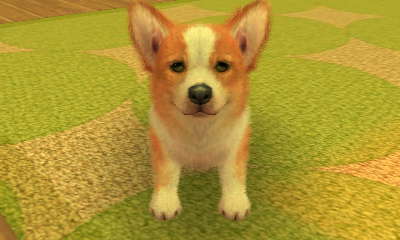 nintendogs