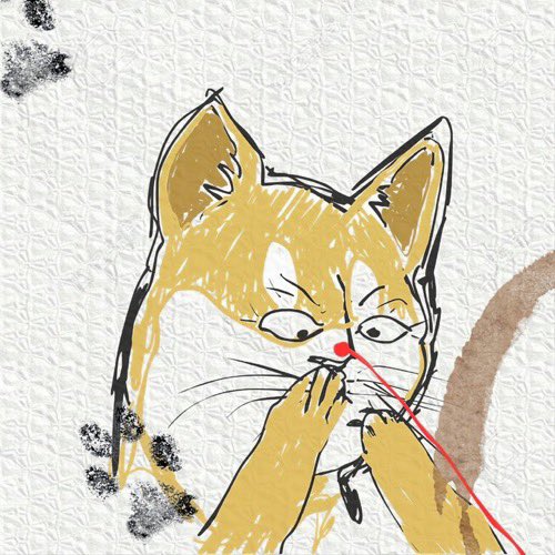 CaptainDickles's tweet image. Cats already believe we their pets 😸