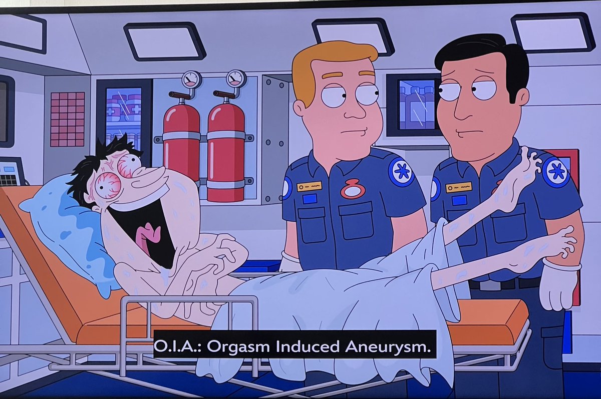 When fine shty put that 🐱on you