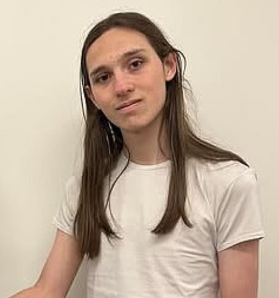 特斯拉堪萨斯城纵火案再添新嫌犯,第二名袭击者被捕 - 1