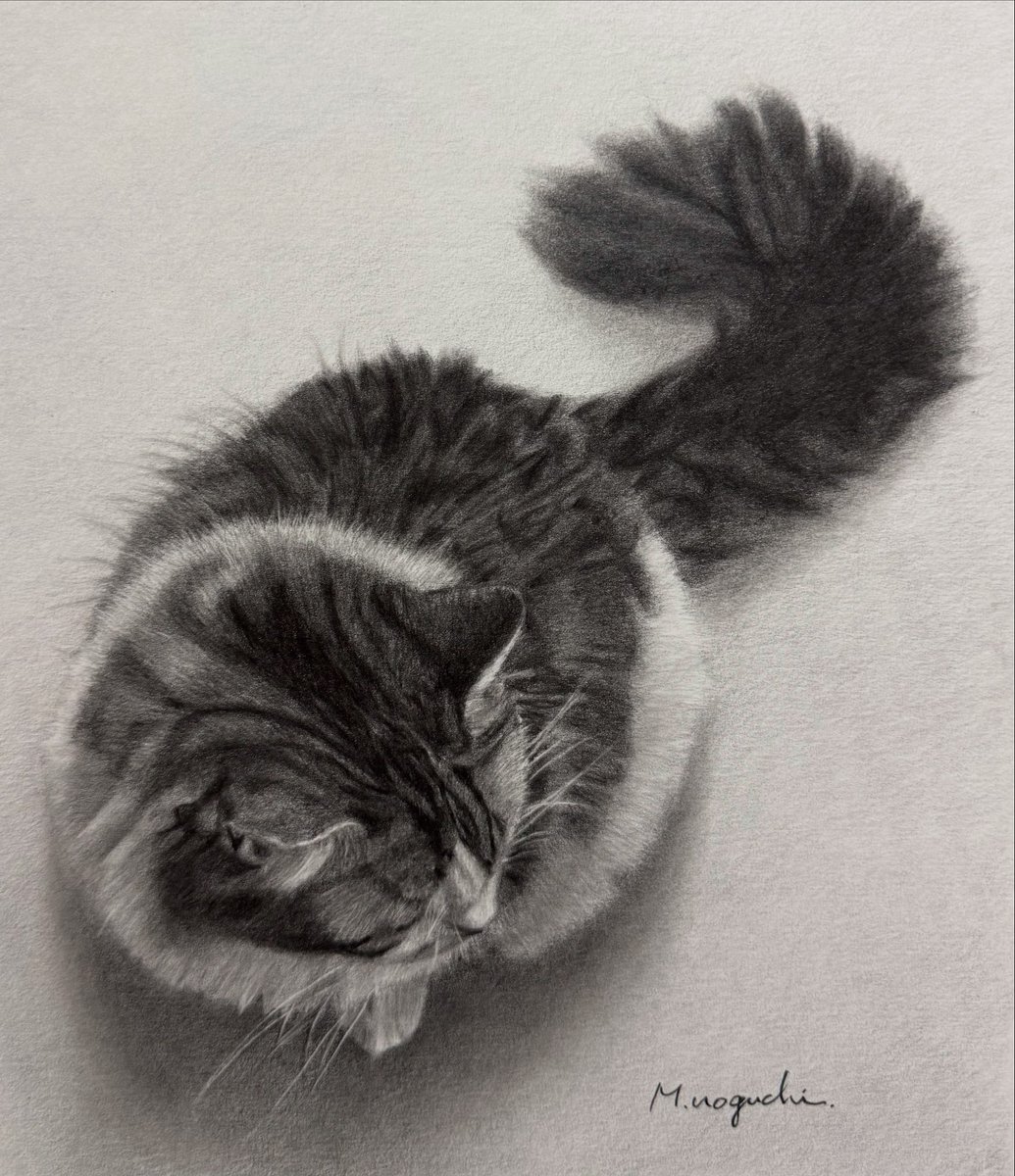 野口 雅史【鉛筆画】 (@0325Terra) / Posts / X