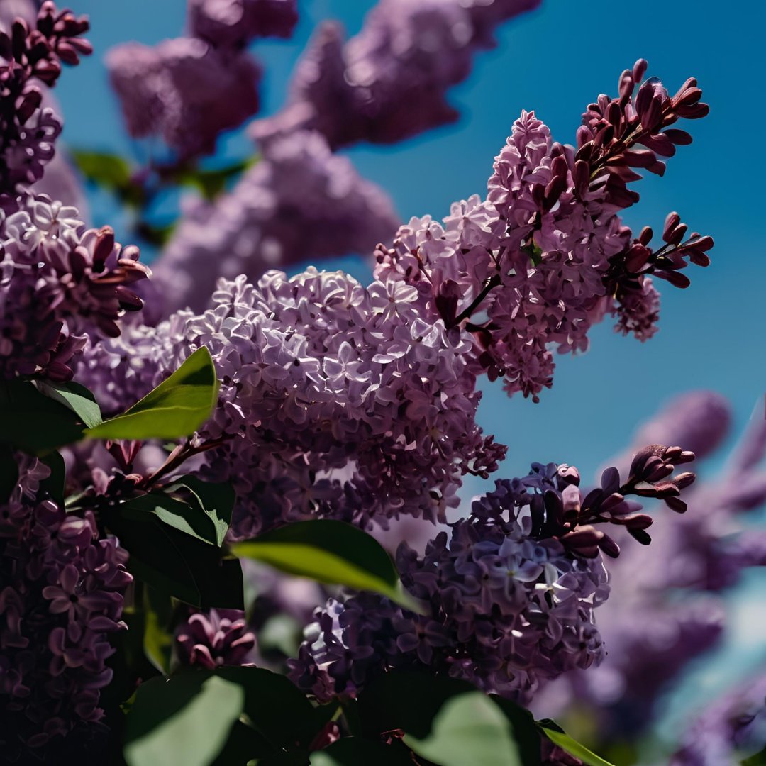 Real confidence doesn't need constant applause.
#ThinkBIGSundayWithMarsha #inspirational #motivational #SpreadPositivity #SundayThoughts