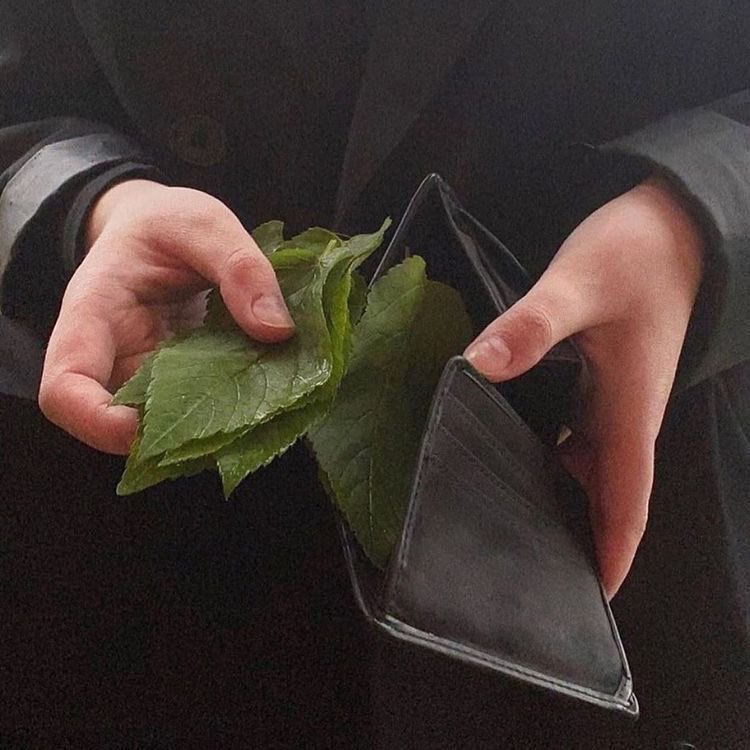 بحر 🌊 (@butterflless) on Twitter photo 