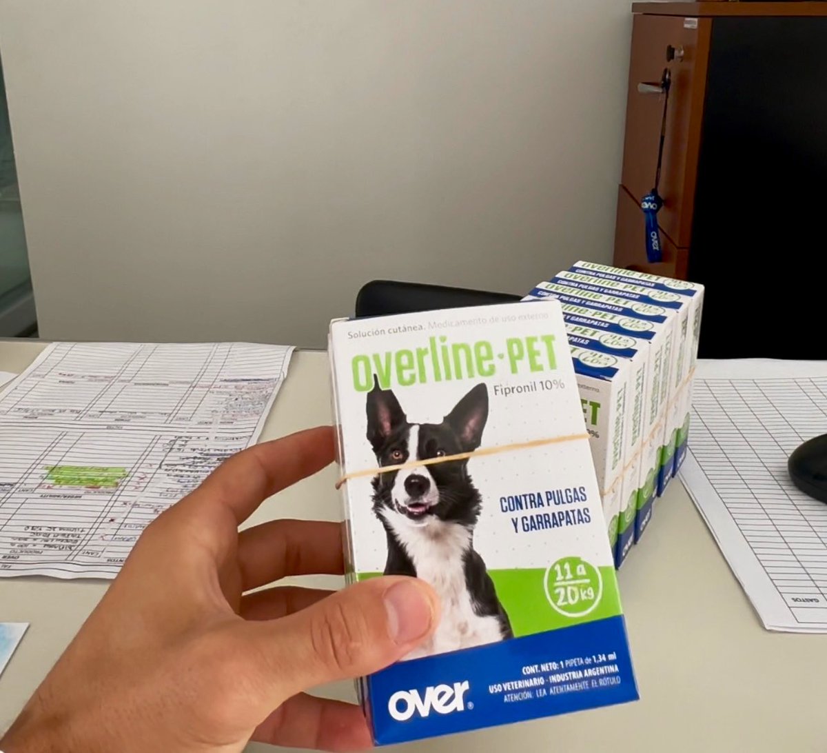 gui10road's tweet photo. Gracias al capo de Tomás por traerme helado 100% artesanal de la heladería de su familia "Rumbo Habana" 🍦

Y muchas gracias Julián, veterinario de San Vicente, por proteger a Timón, Pumba y Barú con antiparasitario ext marca Over, hecho en San Vicente!

📍San Vicente, Santa Fe https://t.co/xhHukMeZzA